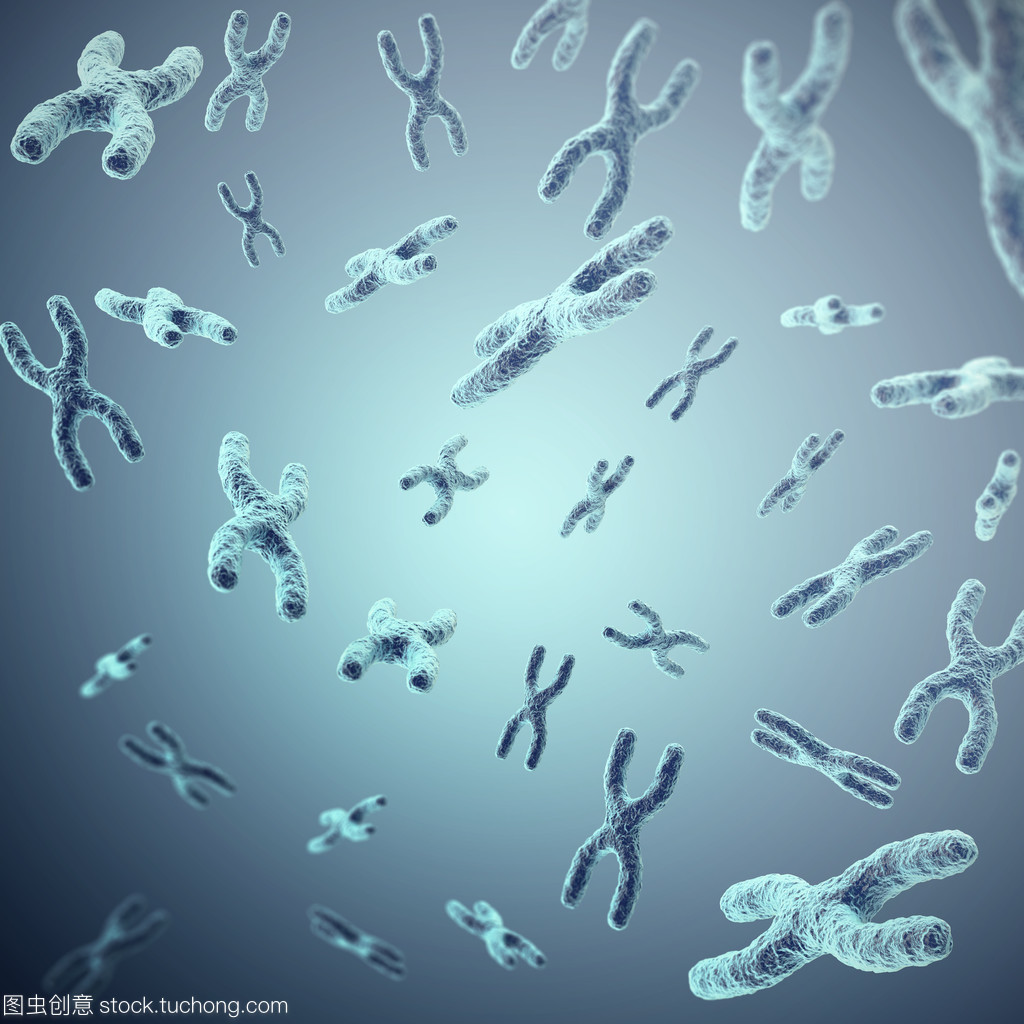 灰幕下的生命密碼 X染色體與遺傳奧秘的生物學探索