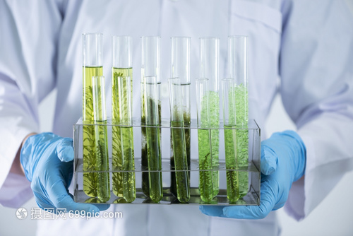 綠色能源新探索 科學家在實驗室測試天然產品提取石油與生物燃料溶液