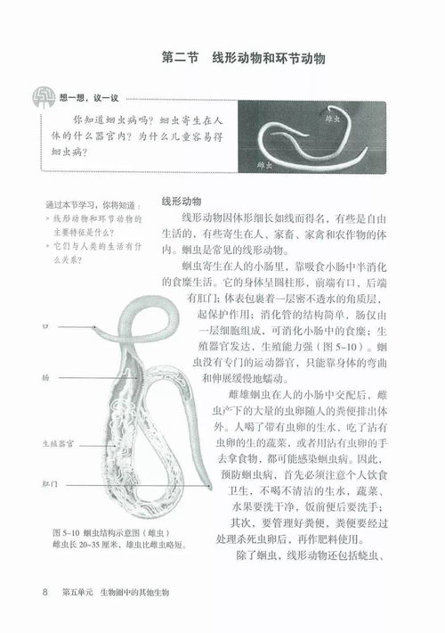 暑期高效預習指南 初中生物上冊第一章知識精粹與學習規劃