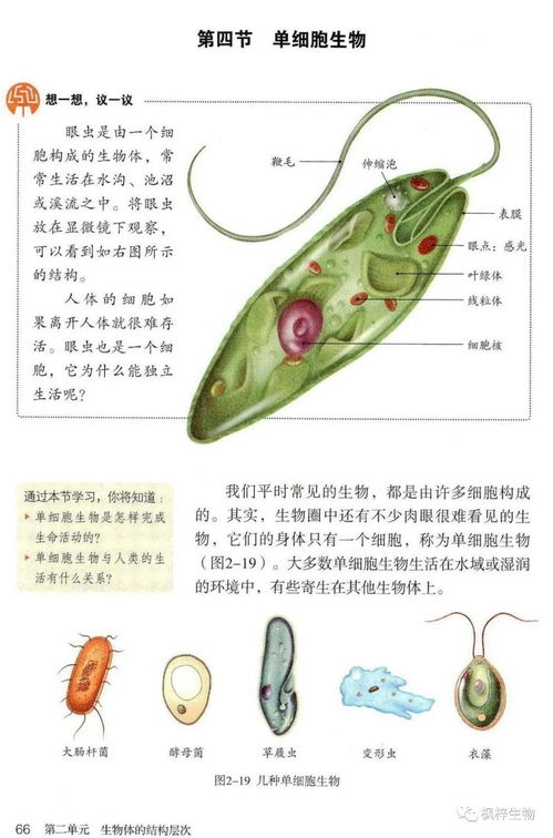 七年級(jí)上冊(cè)生物電子課本 高清PDF版如何高效輔助學(xué)習(xí)