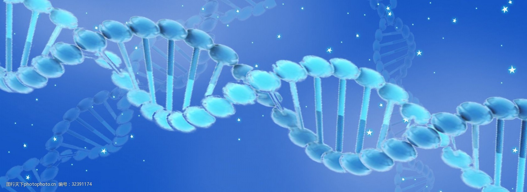 生物說課的藝術 從PPT設計到教學魅力提升策略